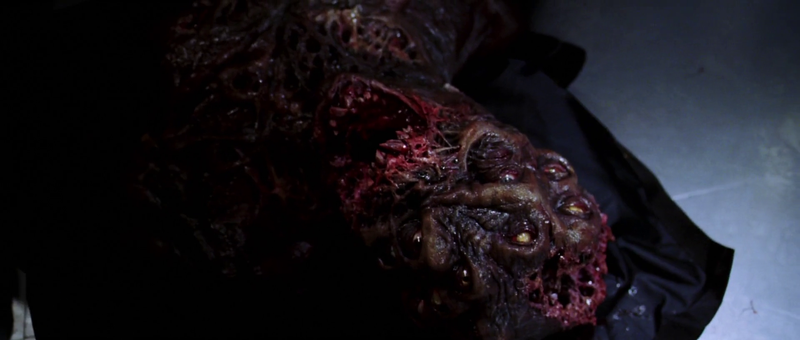 Hey look... I found that old picture of your mom!